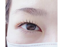 ネリネ(Nerine)/人気のブラウン・メーテルロッド