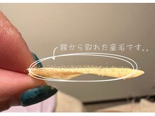 アンジュールの家(unjour no ie)/