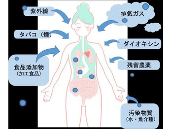 ヨサパーク グランス(YOSA PARK glans)/現代に温活は必要！