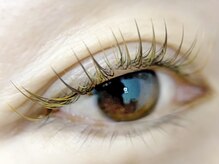 ムニ(muni)/フラットラッシュ120本