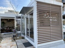 クロレネイルスタジオ(Colorer Nail Studio)