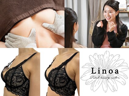 リノア(Linoa)の写真