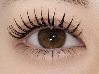 ミルア(MiLua)の写真