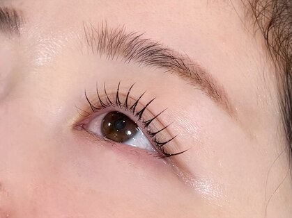 THE LASH【まつげパーマ/LED/フラットラッシュ/マツエク/アイブロウ/眉毛】の写真