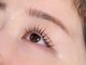 THE LASH【まつげパーマ/LED/フラットラッシュ/マツエク/アイブロウ/眉毛】の写真