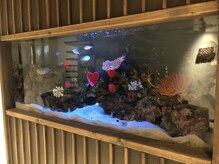 ビュップ 横浜店(美up)/