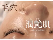 カモラス(CAMOLUS)