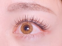 エムアンドコウ(M&Co.)/シングル120本★5500yen