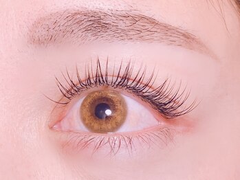 エムアンドコウ(M&Co.)/シングル120本★5500yen