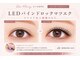 ローズマリー(RoseMarry)の写真