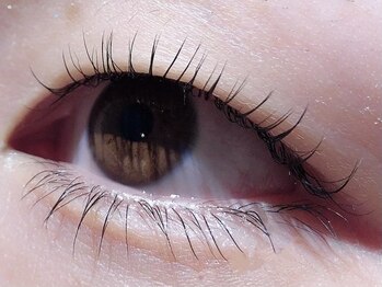 カラン 焼津店(CALIN)/上下ラスティングカール