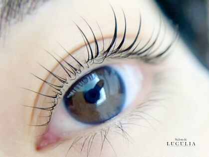 サロンドルクリア(Salon de LUCULIA)の写真