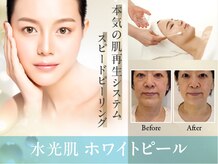クリニカルエステ イーズ 京橋店
