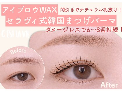 セラヴィ(C'est la vie)の写真