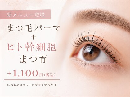 サクラブロウ 姫路(Sakura-blow)の写真