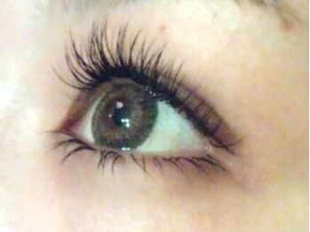 まつげ ネイルサロンアンドスクール ラヴァンヤ 久喜店(Lavanya)/120本￥4800下つけ放題￥1000