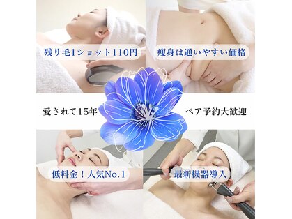 キュララ(KYURARA)の写真