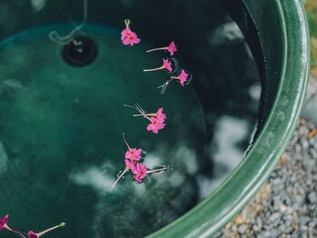 ナチュラルハーブス 灯り 淡路(Natural Herbs AKARI)/静寂を映す水盤