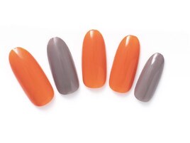 2色ワンカラーPlus￥5,060