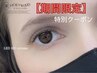 【期間限定】LEDボリュームラッシュ6D 300本 5500円→4980円