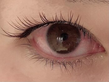 カラン 焼津店(CALIN)/ブラウンフラットラッシュ