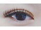 タパタップ(top a top.)の写真