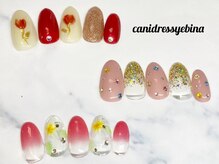 キャンアイドレッシー 海老名/定額ネイル　プラチナ
