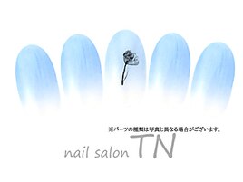 6月☆定額3900円コース