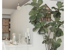 チェスナッツ 銀座(CHESTNUTS Nail&Eyelash)の雰囲気（緑に囲まれて解放感のある広々サロンで特別な時間を…）