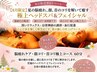 【8月限定】夏の脳疲れ、顔・首のコリを解いて癒す極上ヘッド&フェイシャル