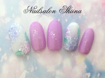 シイナ/定額デザイン11900円