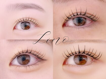 リノ(Lino)の写真