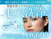 ソフィア わさだ店