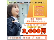 シルクスタンダード(SILK STANDARD)