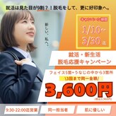 シルクスタンダード(SILK STANDARD)