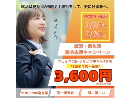 シルクスタンダード(SILK STANDARD)の写真