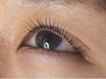 ウルカ アイラッシュ(uruka EYELASH)/ラッシュリフト