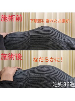 あおい鳥/大きく張ったお腹もなだらかに