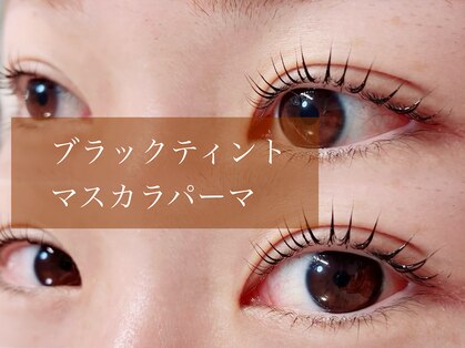 デイジー(Daisy)の写真