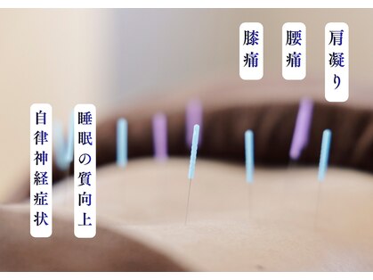 シンプル ライフアンドコンディショニング(Shinple Life&Coditioning)の写真