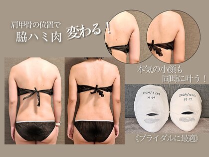 バンブー(bamboo)の写真