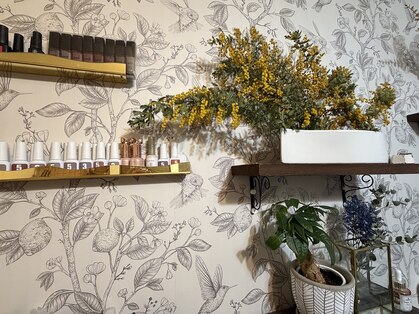 フルール ブルー(fleur bleue)の写真