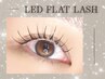 【7月限定】LEDフラットラッシュ100本 【¥5000】