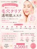 【8・9月限定】大人気  毛穴クリア透明肌エステ60分  毛穴/黒ずみ/美白