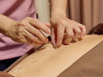 ワラビー治療室