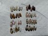 【9・10月限定】秋のトレンド定額￥6800★ ワンホン/うるちゅる/韓国/