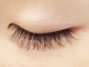 シンプリー ネイルアンドアイラッシュ 祖師谷大蔵店(Simpliee Nail&Eyelash)/フェザー風ラッシュ　300本正面 