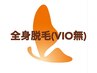 全身脱毛(VIOなし)