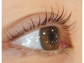 ベリール 南平岸店(Be'Leel)/ラッシュリフト!♪