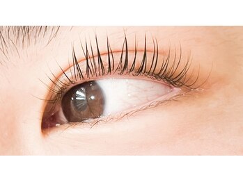 ファド(fado)/次世代まつ毛パーマ☆